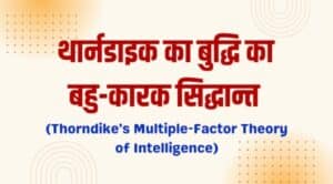 थार्नडाइक का बहु-कारक सिद्धान्त (Thorndike's Multiple-Factor Theory)